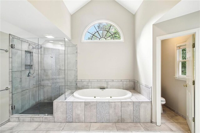 bathroom with plenty of natural light, toilet, and lofted ceiling