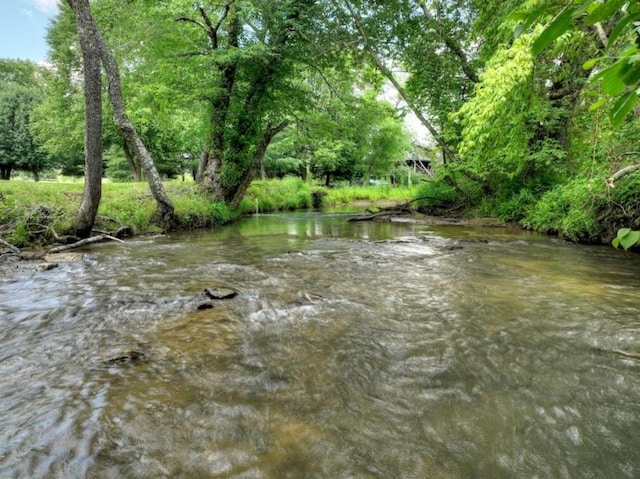 311 Bailey Farm Ln, Mineral Bluff, GA 30559 - water view