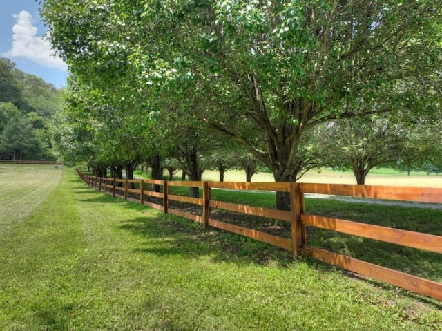 311 Bailey Farm Ln, Mineral Bluff, GA 30559 - view of yard