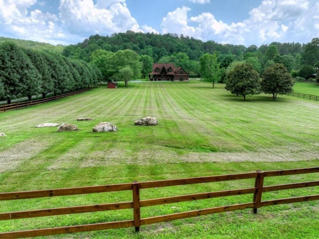 311 Bailey Farm Ln, Mineral Bluff, GA 30559 - view of yard featuring a view of rural / pastoral area and a forest view