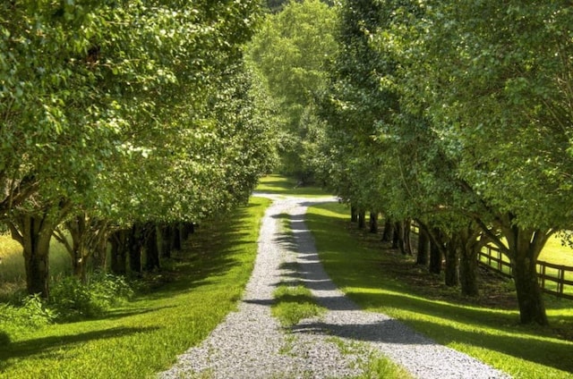 311 Bailey Farm Ln, Mineral Bluff, GA 30559 - surrounding community featuring driveway