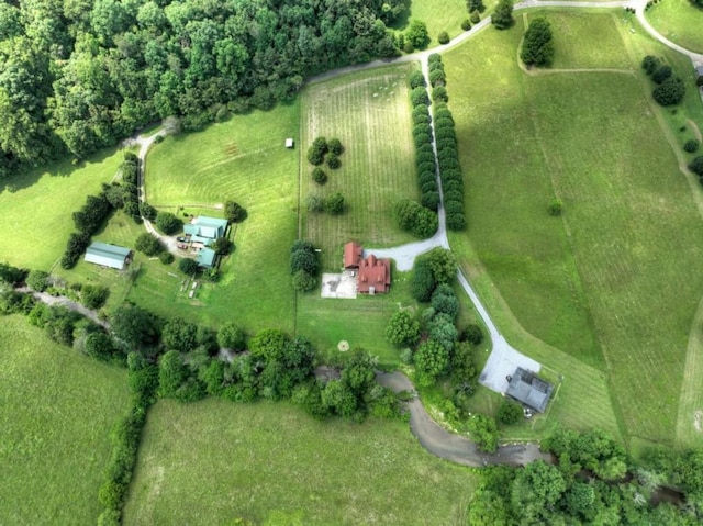 311 Bailey Farm Ln, Mineral Bluff, GA 30559 - aerial view of sparsely populated area