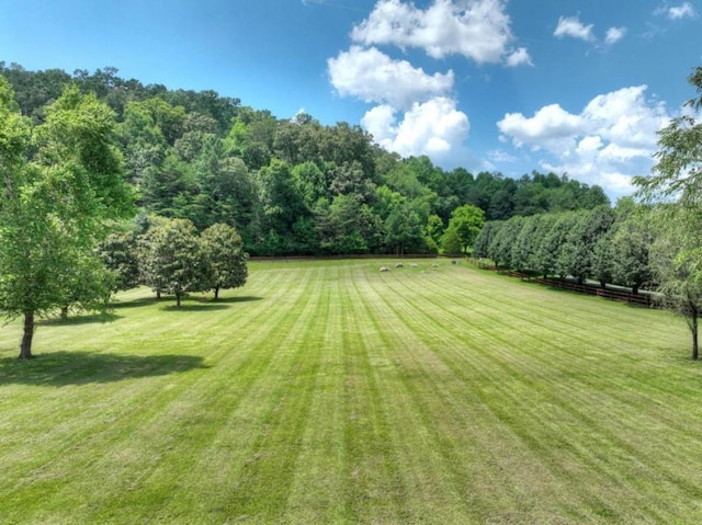 311 Bailey Farm Ln, Mineral Bluff, GA 30559 - view of green lawn