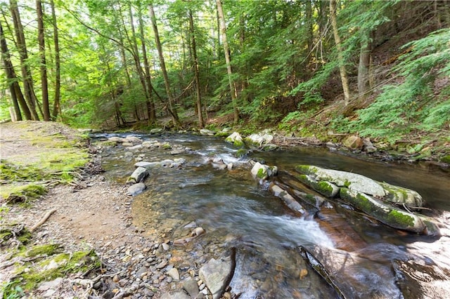 view of local wilderness with a view of trees