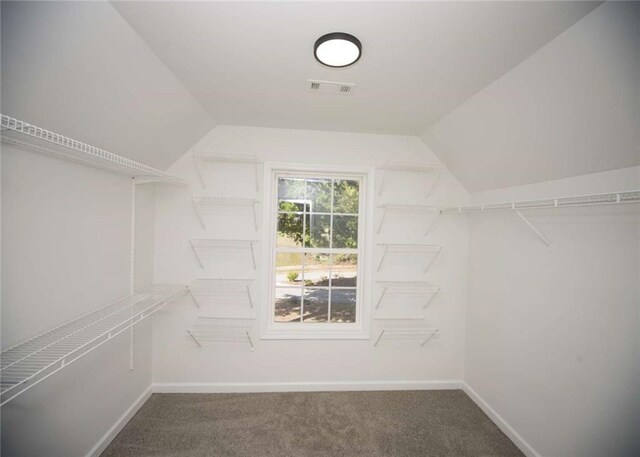 spacious closet with carpet flooring, lofted ceiling, and visible vents