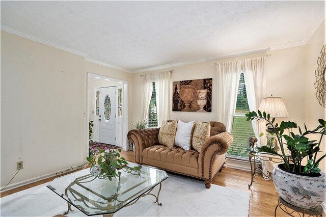 living room featuring light hardwood / wood-style flooring, ornamental molding, and a wealth of natural light