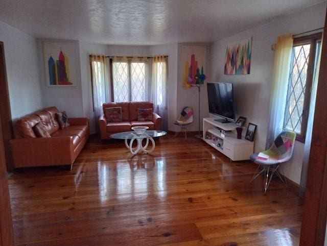 living room featuring dark wood-type flooring and plenty of natural light