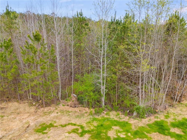 view of nature featuring a view of trees