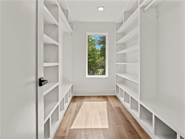 walk in closet with wood-type flooring