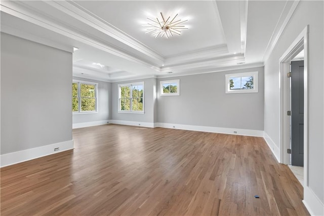 unfurnished room featuring a tray ceiling, hardwood / wood-style floors, and ornamental molding