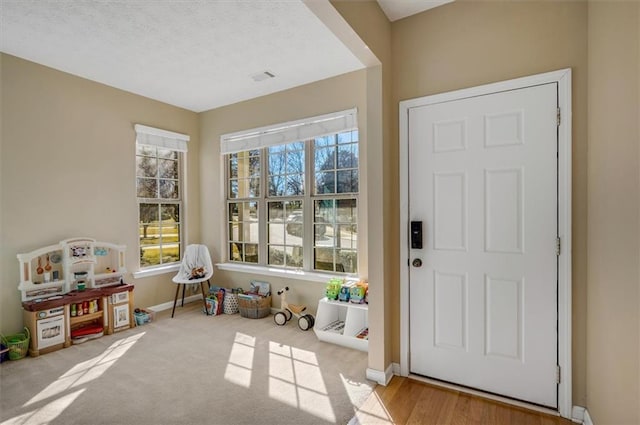 interior space with light carpet