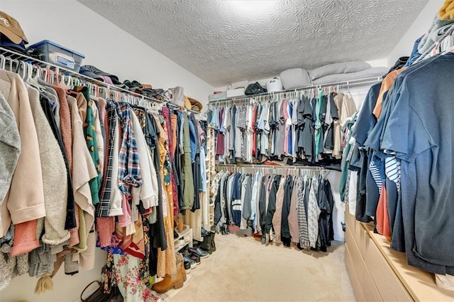 spacious closet featuring carpet flooring