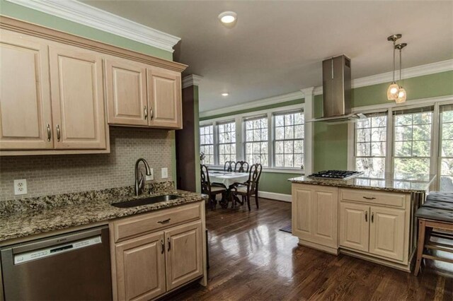 kitchen featuring a wealth of natural light, stainless steel appliances, island exhaust hood, and sink