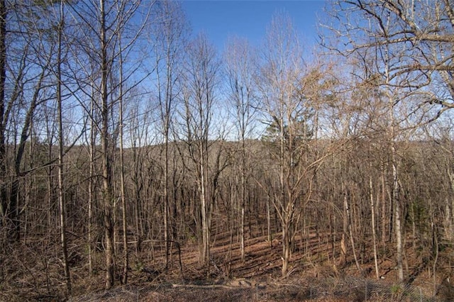 view of local wilderness