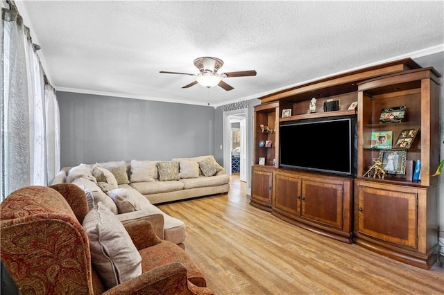 942 Hardwick Cir, Dalton, GA 30720 - living area with light wood-style floors, ceiling fan, ornamental molding, and a textured ceiling