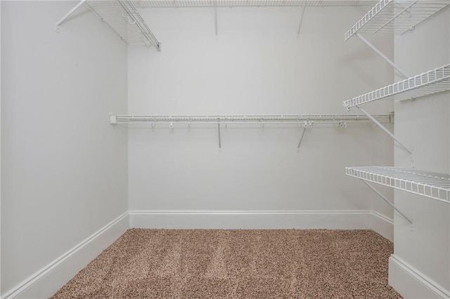 825 Highland Ln NE Unit 1116, Atlanta, GA 30306 - walk in closet featuring carpet floors