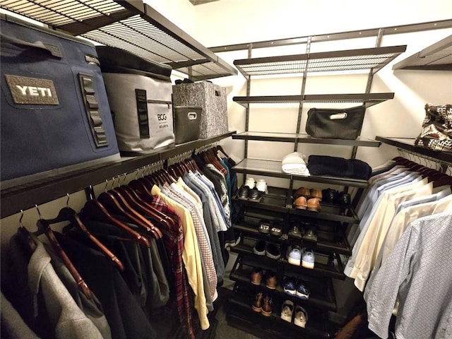 view of spacious closet