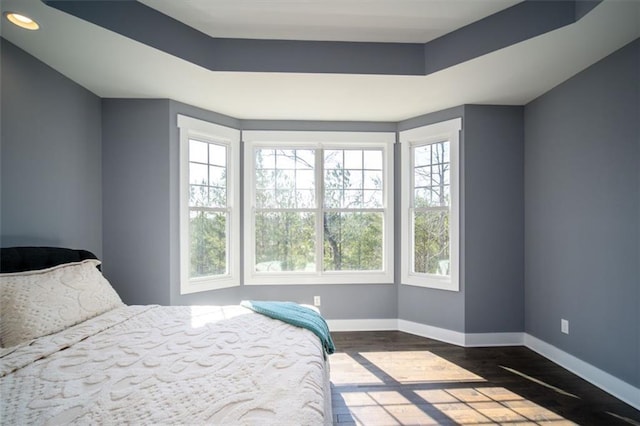 bedroom featuring a tray ceiling, baseboards, and multiple windows