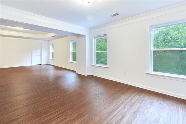 3690 Dalwood Dr, Suwanee, GA 30024 - spare room featuring a raised ceiling, crown molding, and hardwood / wood-style floors