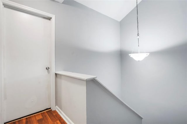 corridor featuring dark hardwood / wood-style floors