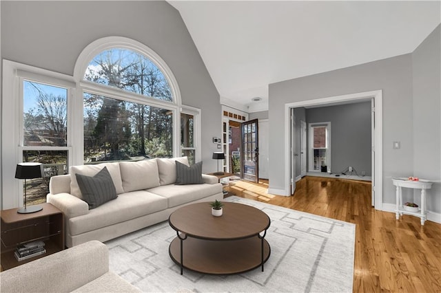 living room featuring hardwood / wood-style flooring and lofted ceiling