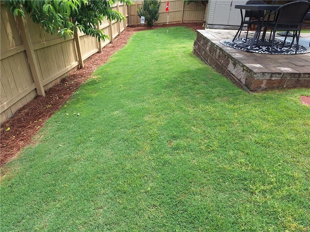 view of yard featuring a patio and a fenced backyard