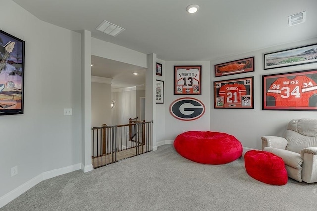 sitting room featuring carpet flooring