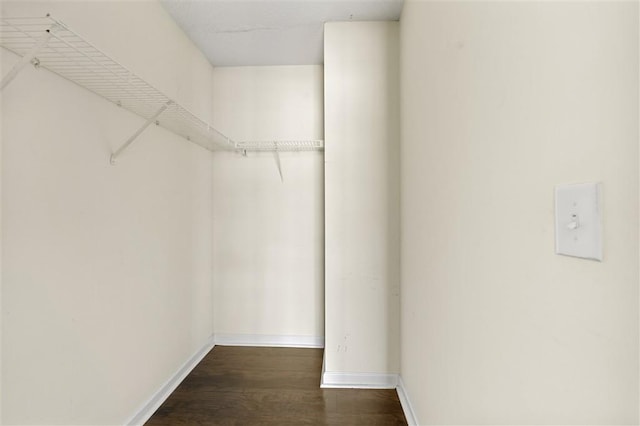 spacious closet with wood finished floors
