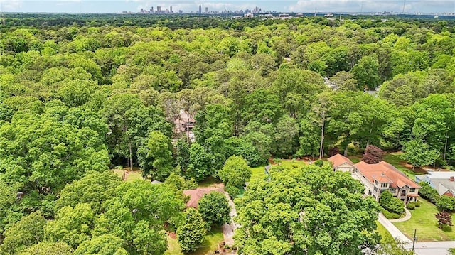 aerial view of a forest