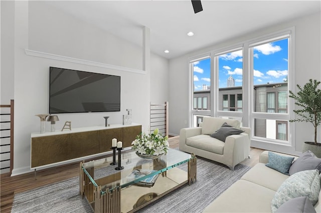 living room featuring ceiling fan and hardwood / wood-style flooring