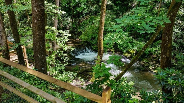 10323 Grassy Mountain Rd, Ellijay, GA 30540 - view of local wilderness