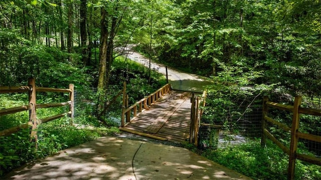 10323 Grassy Mountain Rd, Ellijay, GA 30540 - view of home's community