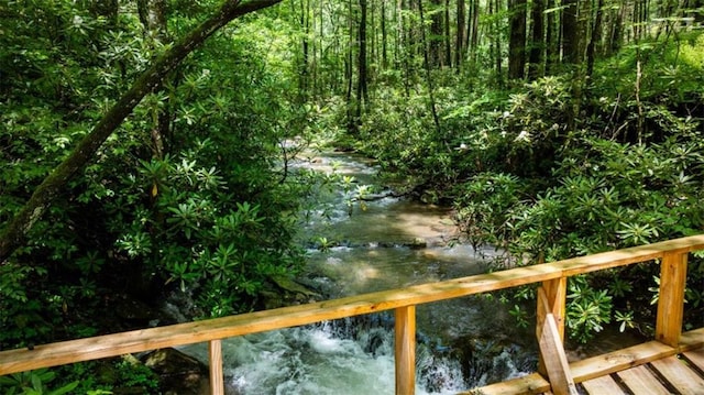 10323 Grassy Mountain Rd, Ellijay, GA 30540 - water view featuring a heavily wooded area