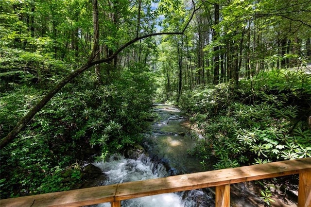 10323 Grassy Mountain Rd, Ellijay, GA 30540 - view of tree filled area