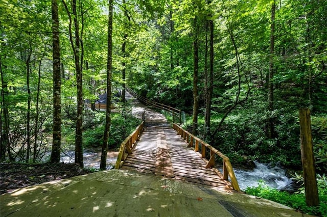 10323 Grassy Mountain Rd, Ellijay, GA 30540 - view of home's community featuring a forest view