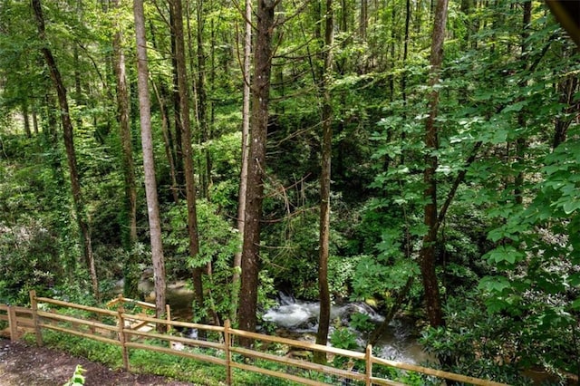 10323 Grassy Mountain Rd, Ellijay, GA 30540 - view of wooded area