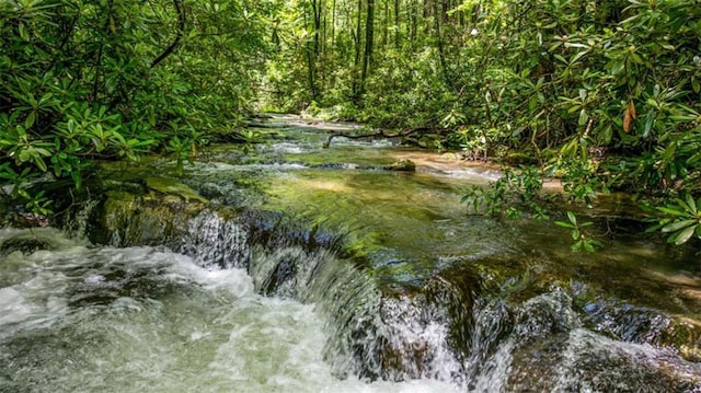 10323 Grassy Mountain Rd, Ellijay, GA 30540 - view of undeveloped land