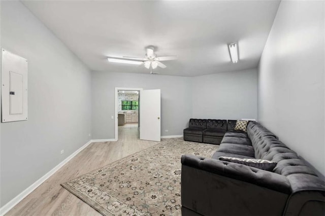 10323 Grassy Mountain Rd, Ellijay, GA 30540 - living area with a ceiling fan, light wood finished floors, and electric panel