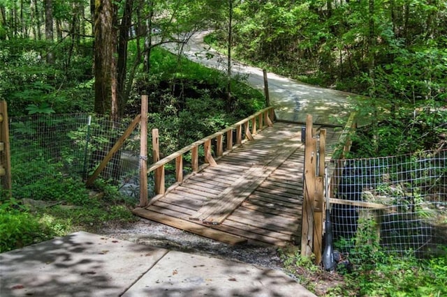 10323 Grassy Mountain Rd, Ellijay, GA 30540 - surrounding community