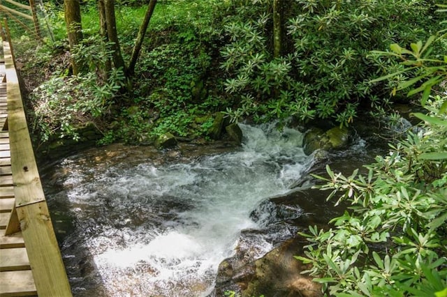 10323 Grassy Mountain Rd, Ellijay, GA 30540 - view of nature