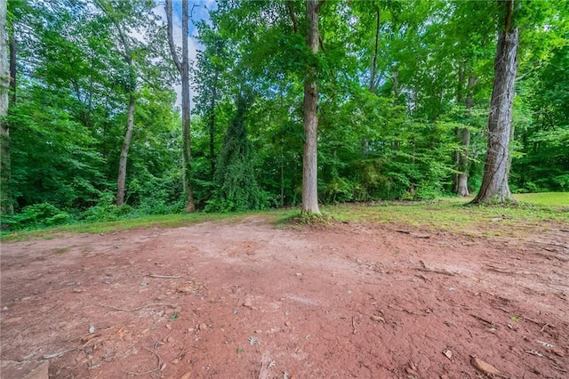 10150 Puckett St, Covington, GA 30014 - view of local wilderness