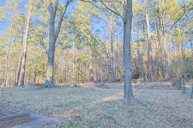 view of yard featuring a forest view