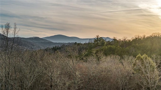 view of mountain feature with a view of trees