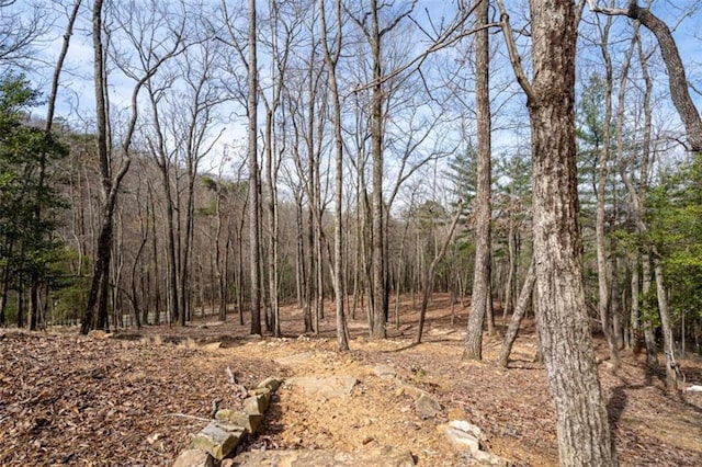 view of nature featuring a wooded view