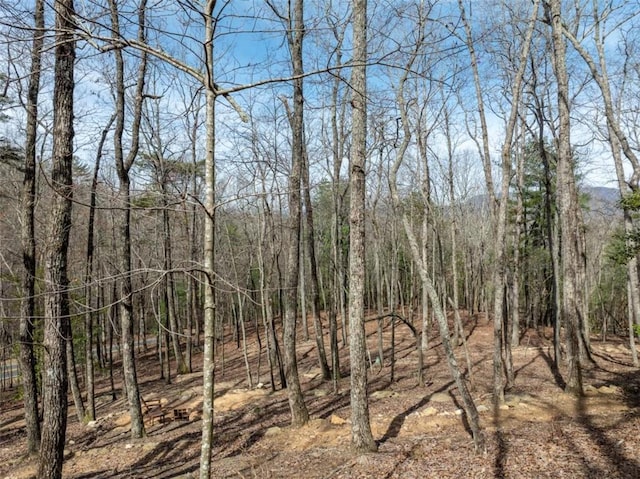view of nature featuring a forest view