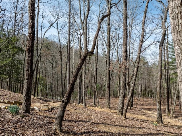 view of nature with a forest view