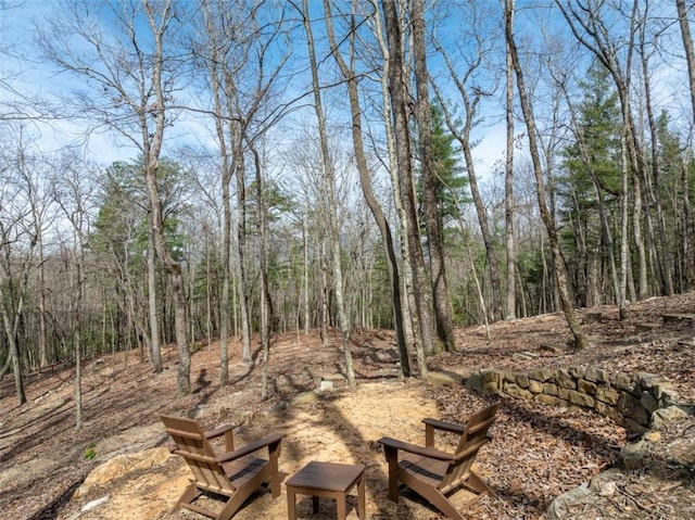 view of yard featuring a wooded view