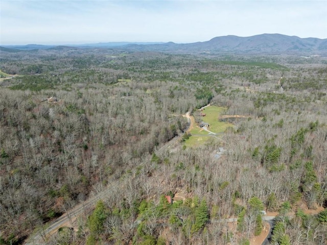 drone / aerial view featuring a mountain view
