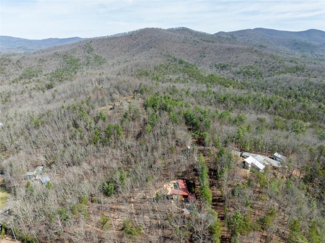 property view of mountains
