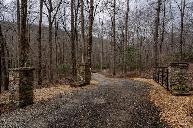 view of road with a forest view